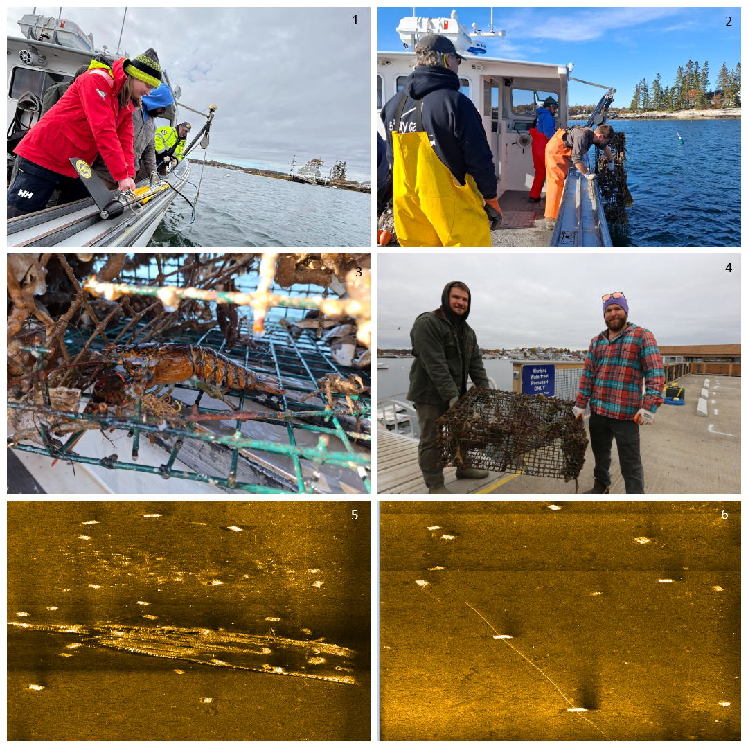 Maine collage fieldwork and sonar labelled